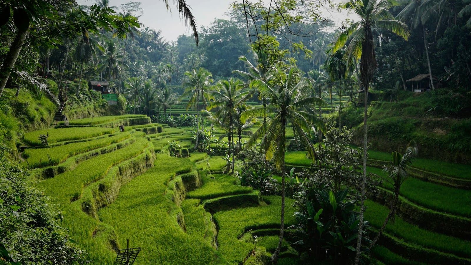 Empty bay and green headlands on an Indonesian island coast