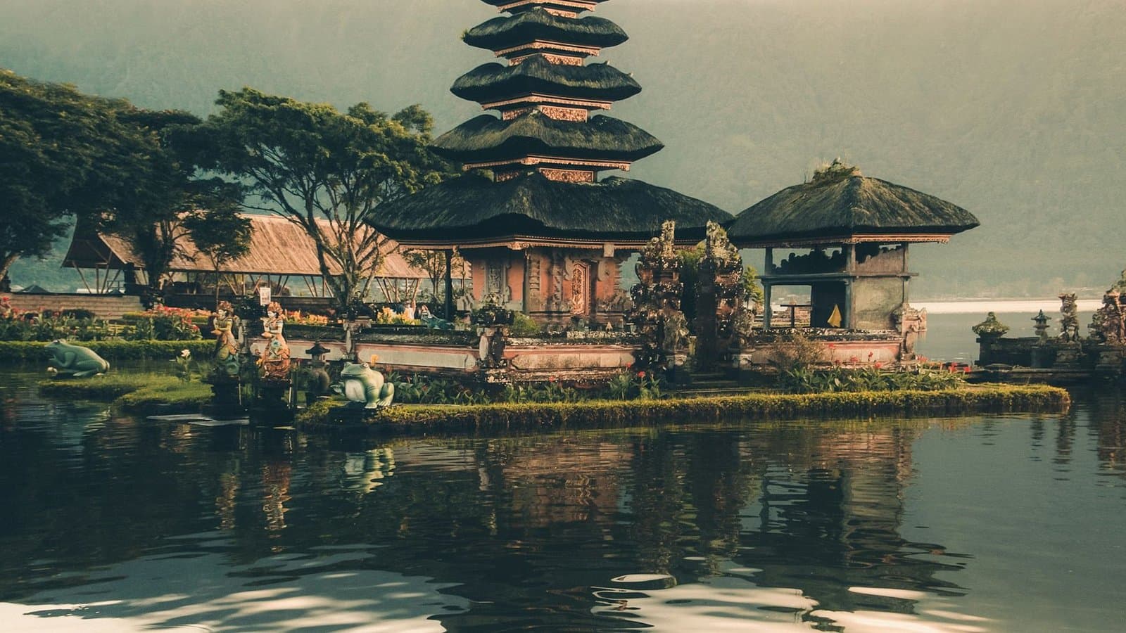 Terraced rice fields glowing green in the highlands of Bali